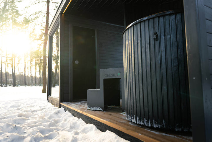 Taurus Modular Air Outdoor Sauna exterior view in a snowy woodland setting with large tinted glass panel and covered terrace.